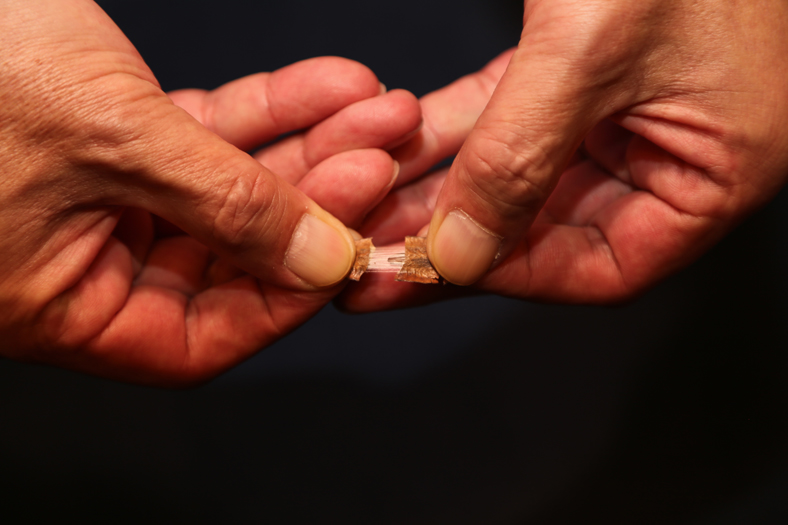 キャスコが産学共同開発 杜仲茶の原料で作ったボール『BIO SPIN -TOCHU-』を発表